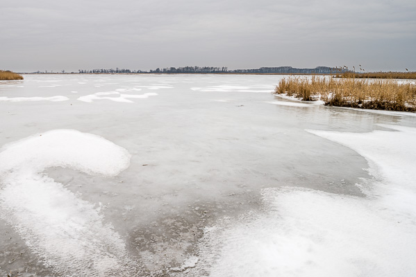 Die Wörtenlacke war fast vollständig zugefroren - nur in großer Entfernung vom Ufer gab es einen kleinen, noch flüssigen, Bereich.